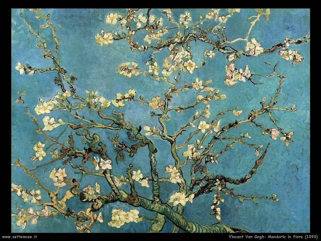 Van Gogh, Mandorlo in fiore